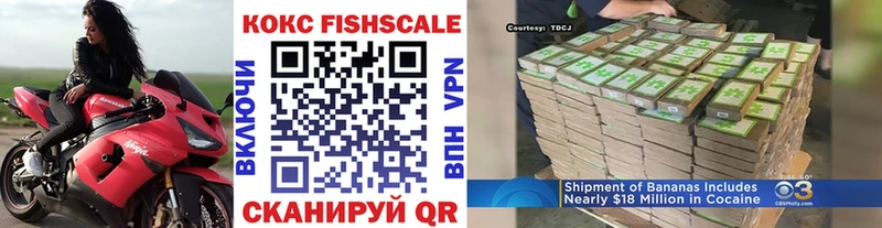 MEGA ТОР  где купить наркотик  Валуйки  COCAIN Fish Scale 