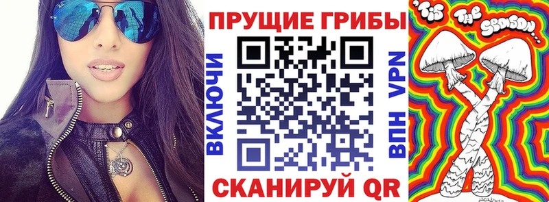 купить  цена  Валуйки  Псилоцибиновые грибы ЛСД 